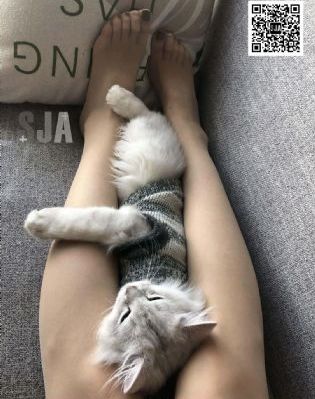 欧美ins风壁纸高清全屏_午夜在线观看完整版